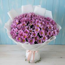 Букет цветов из:  Хризантемы в Аргаяше