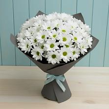 Букет цветов из:  Хризантемы в Аргаяше