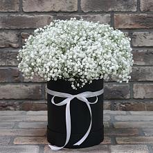 Цветочная композиция из Гипсофила в шляпной коробке в Аргаяше