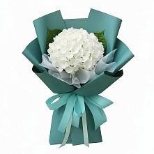 Букет цветов из:  Гортензия #REPLACE_PRED# Аргаяше